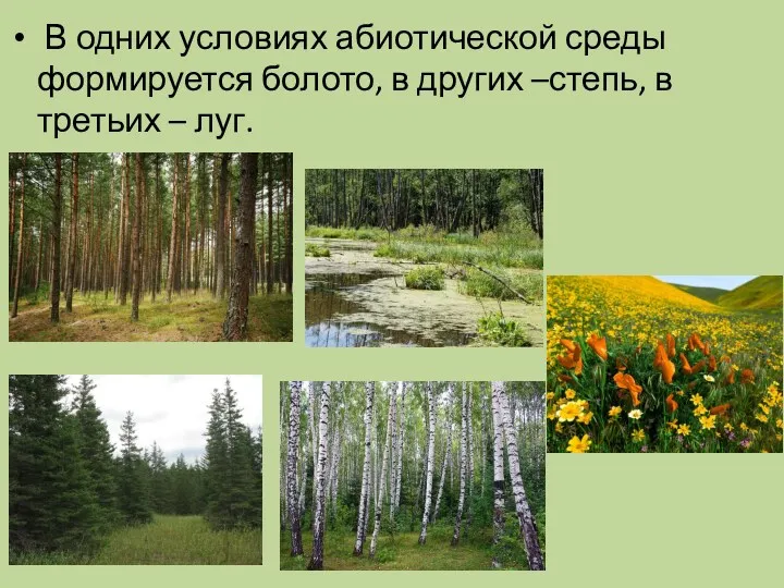 В одних условиях абиотической среды формируется болото, в других –степь, в третьих – луг.