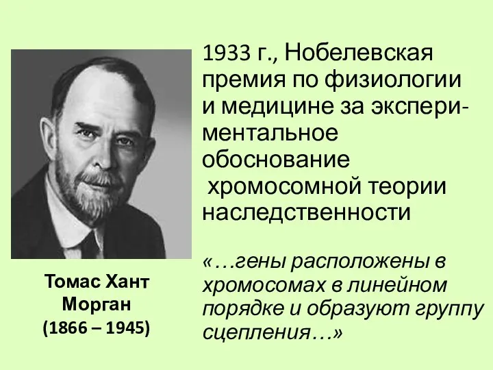 Томас Хант Морган (1866 – 1945) 1933 г., Нобелевская премия