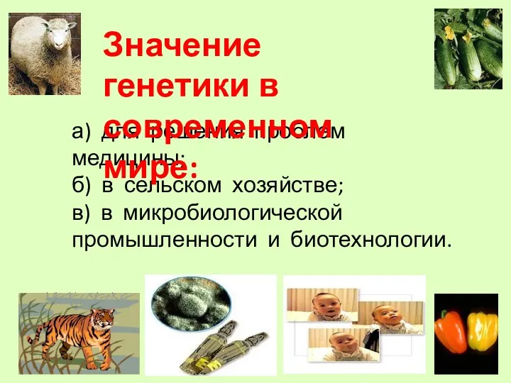 а) для решения проблем медицины; б) в сельском хозяйстве; в)