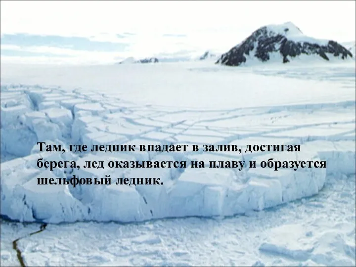 Там, где ледник впадает в залив, достигая берега, лед оказывается на плаву и образуется шельфовый ледник.