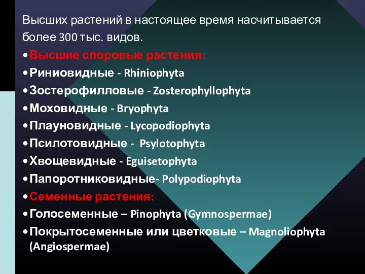 Высших растений в настоящее время насчитывается более 300 тыс. видов.