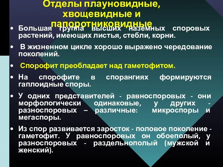 Отделы плауновидные, хвощевидные и папоротниковидные Большая группа высших наземных споровых