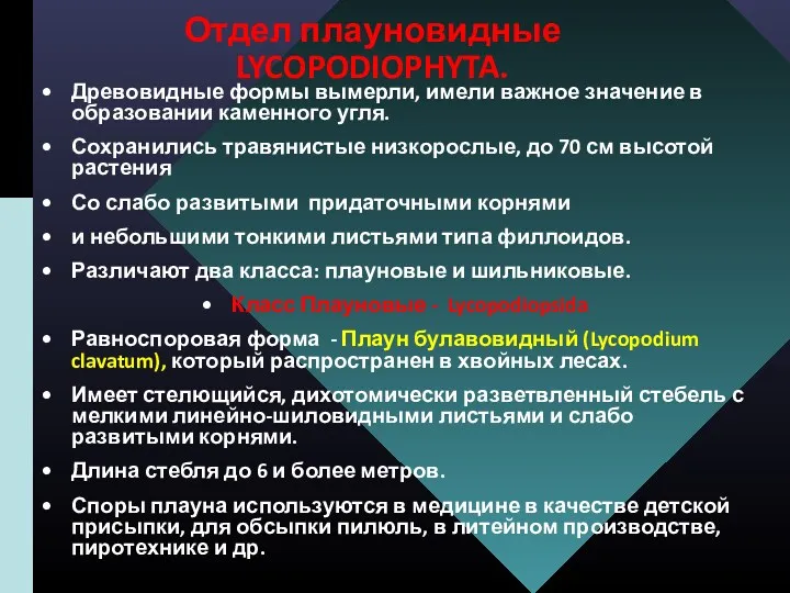 Отдел плауновидные LYCOPODIOPHYTA. Древовидные формы вымерли, имели важное значение в