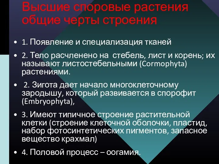 Высшие споровые растения общие черты строения 1. Появление и специализация