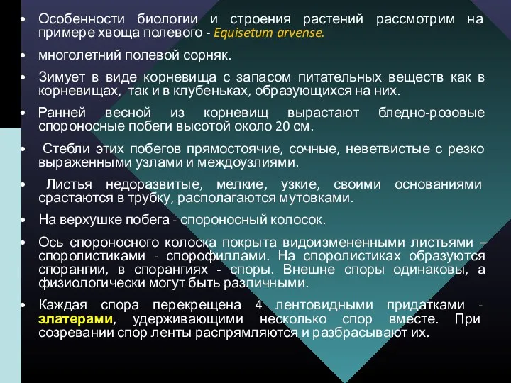 Особенности биологии и строения растений рассмотрим на примере хвоща полевого