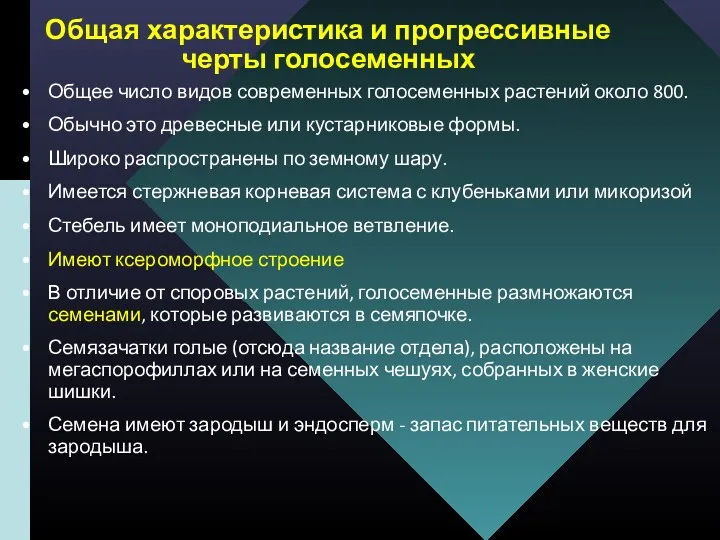 Общая характеристика и прогрессивные черты голосеменных Общее число видов современных