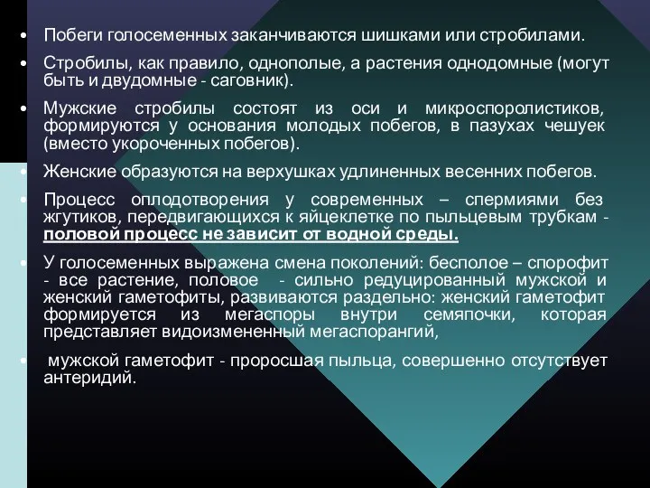 Побеги голосеменных заканчиваются шишками или стробилами. Стробилы, как правило, однополые,