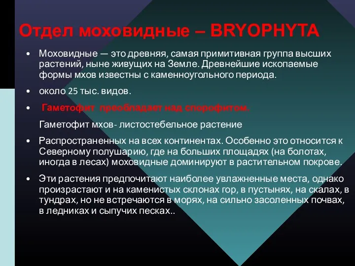 Отдел моховидные – BRYOPHYTA Моховидные — это древняя, самая примитивная