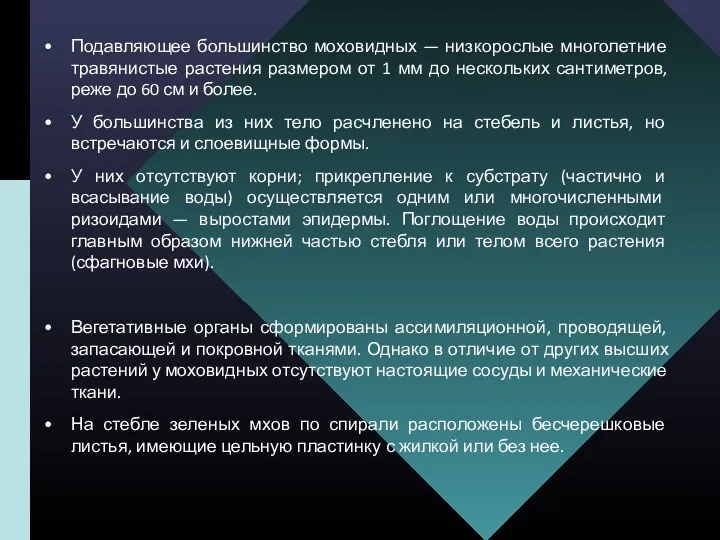 Подавляющее большинство моховидных — низкорослые многолетние травянистые растения размером от