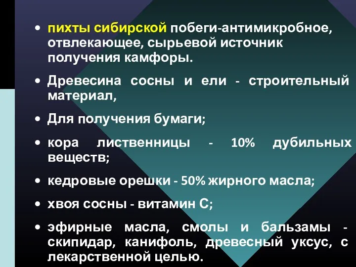 пихты сибирской побеги-антимикробное, отвлекающее, сырьевой источник получения камфоры. Древесина сосны