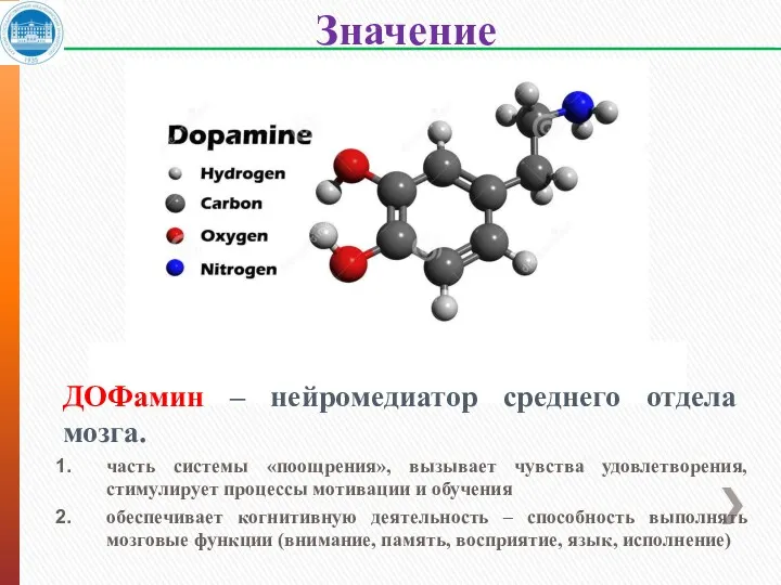 Значение катехоламинов ДОФамин – нейромедиатор среднего отдела мозга. часть системы