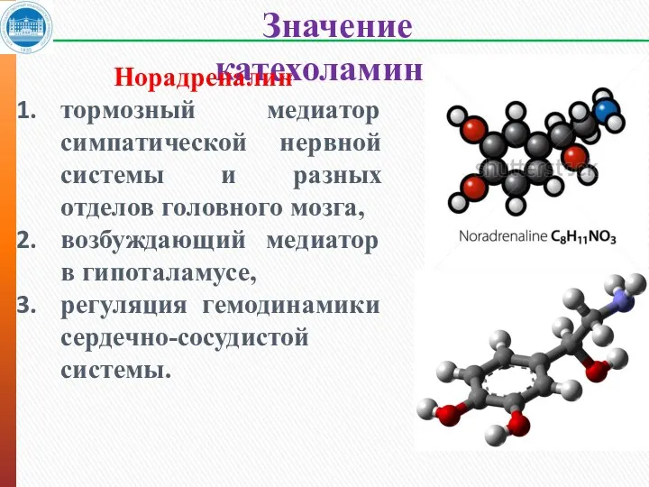 Значение катехоламинов Норадреналин тормозный медиатор симпатической нервной системы и разных