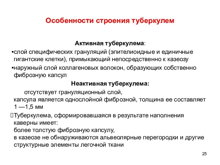 Особенности строения туберкулем Активная туберкулема: слой специфических грануляций (эпителиоидные и