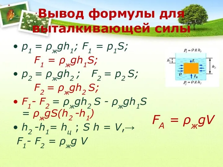 Вывод формулы для выталкивающей силы р1 = ρжgh1; F1 =