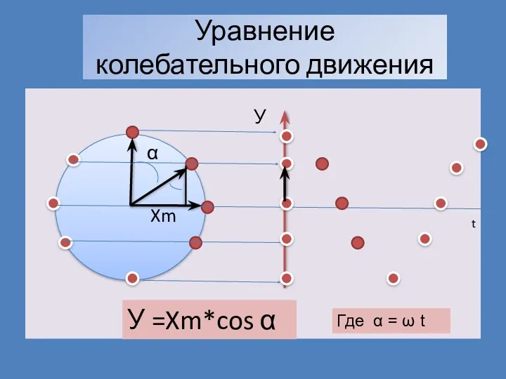 Уравнение колебательного движения α У Xm У =Xm*cos α t Где α = ω t