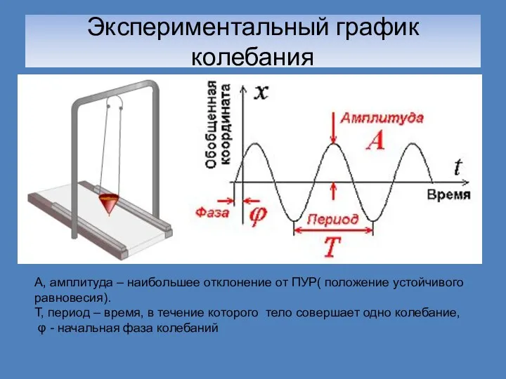 Экспериментальный график колебания А, амплитуда – наибольшее отклонение от ПУР(