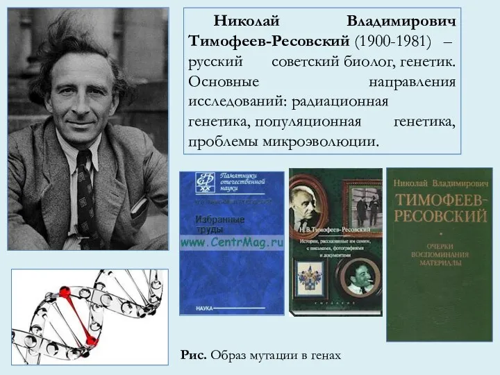 Николай Владимирович Тимофеев-Ресовский (1900-1981) – русский советский биолог, генетик. Основные направления исследований: радиационная