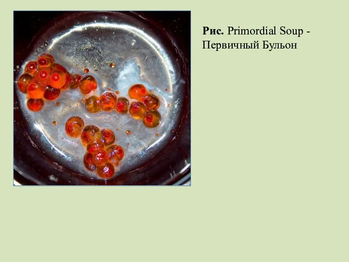 Рис. Primordial Soup - Первичный Бульон