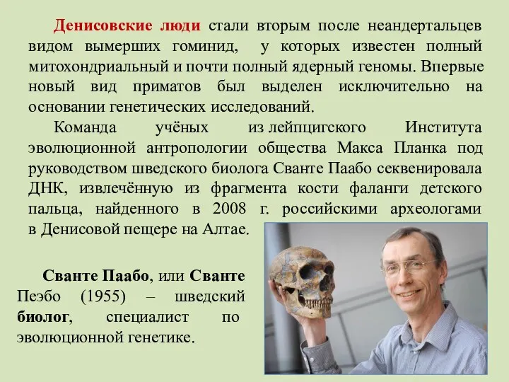 Денисовские люди стали вторым после неандертальцев видом вымерших гоминид, у которых известен полный