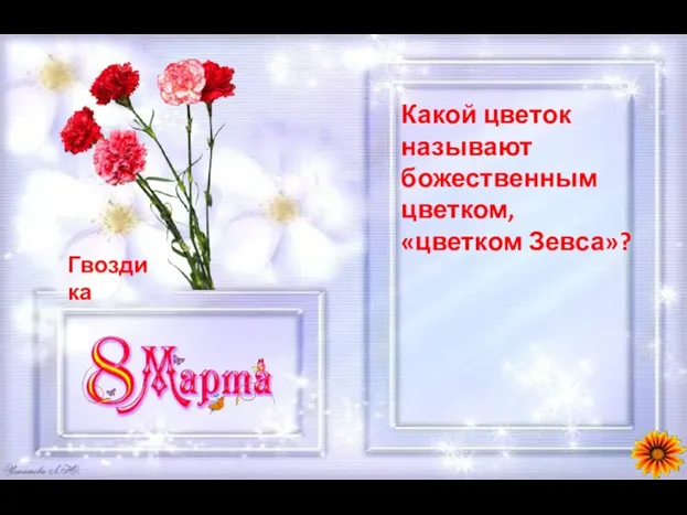 Какой цветок называют божественным цветком, «цветком Зевса»?