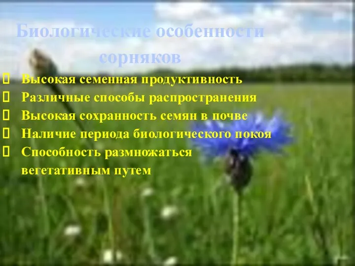 Биологические особенности сорняков Высокая семенная продуктивность Различные способы распространения Высокая