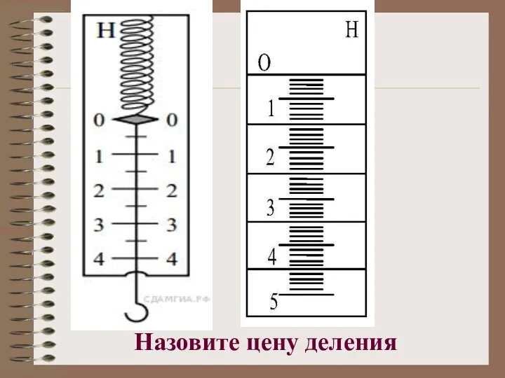 Назовите цену деления