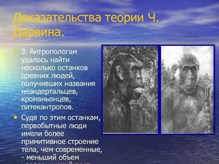 Доказательства теории Ч.Дарвина. 3. Антропологам удалось найти несколько останков древних