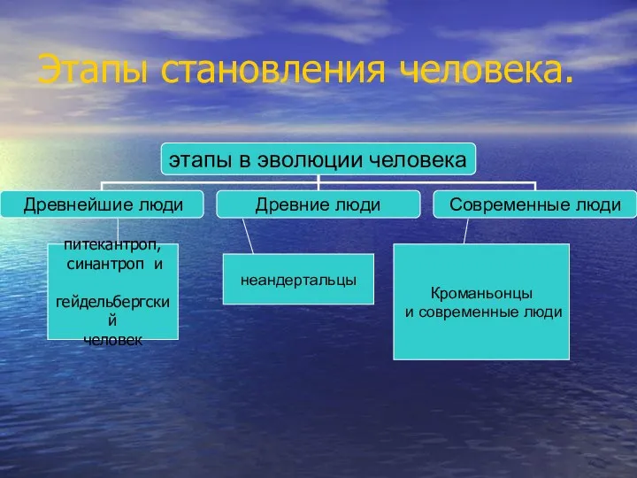 Этапы становления человека. питекантроп, синантроп и гейдельбергский человек неандертальцы Кроманьонцы и современные люди