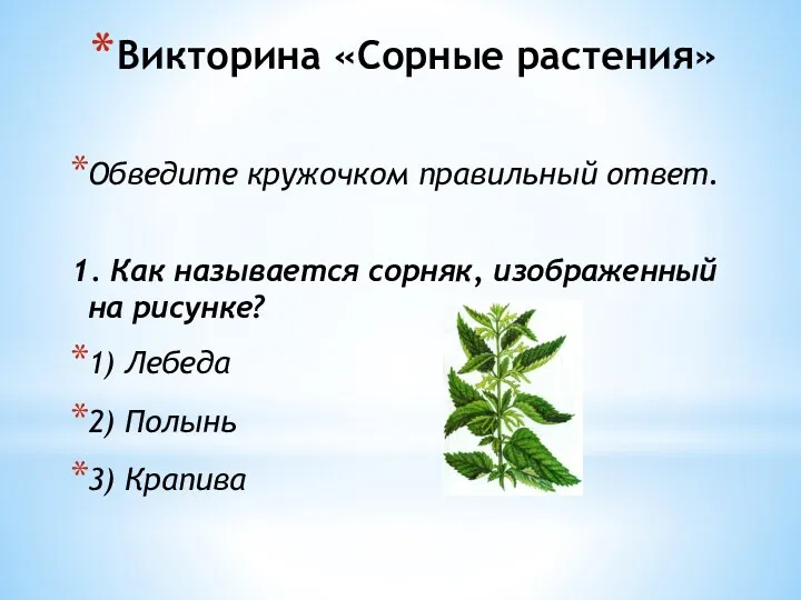 Викторина «Сорные растения» Обведите кружочком правильный ответ. 1. Как называется сорняк, изображенный на