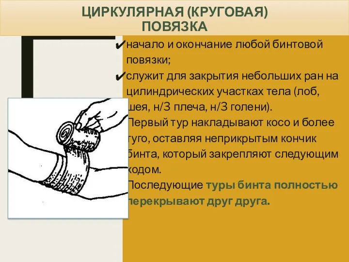 ЦИРКУЛЯРНАЯ (КРУГОВАЯ) ПОВЯЗКА начало и окончание любой бинтовой повязки; служит