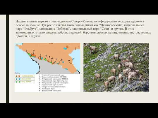 Национальным паркам и заповедникам Северо-Кавказского федерального округа уделяется особое внимание.