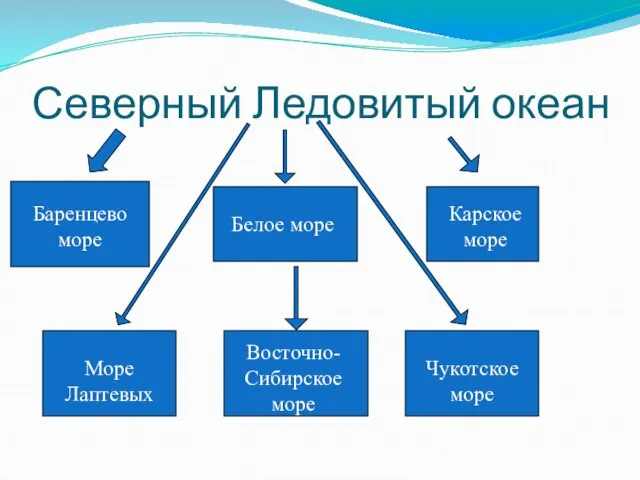 Северный Ледовитый океан Баренцево море Белое море Карское море Море Лаптевых Восточно-Сибирское море Чукотское море