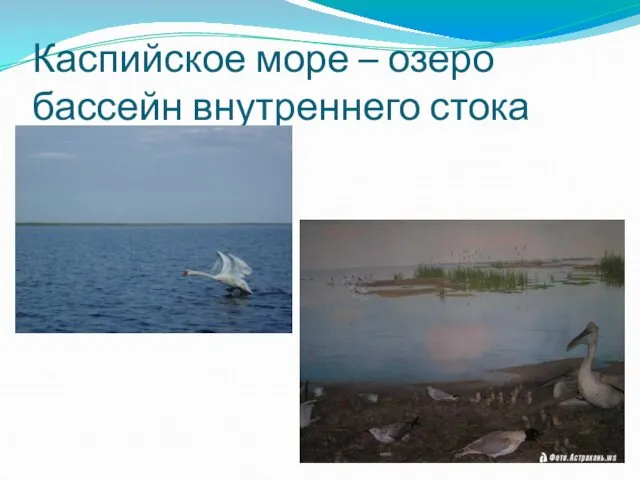 Каспийское море – озеро бассейн внутреннего стока