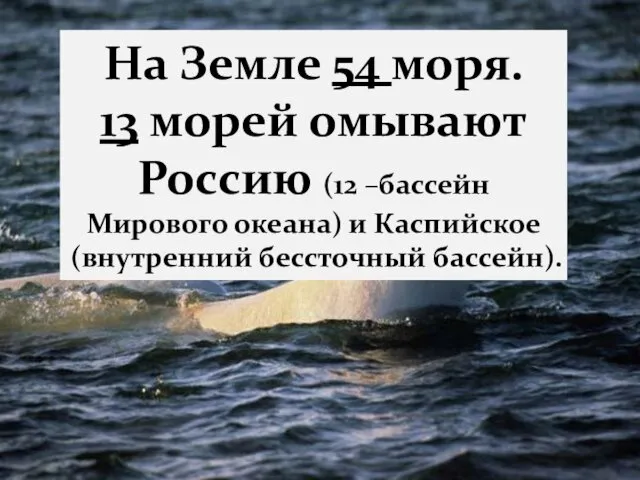 На Земле 54 моря. 13 морей омывают Россию (12 –бассейн Мирового океана) и