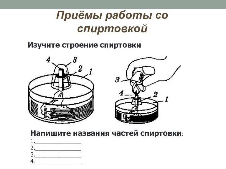 Приёмы работы со спиртовкой Изучите строение спиртовки Напишите названия частей спиртовки: 1._______________ 2._______________ 3._______________ 4._______________