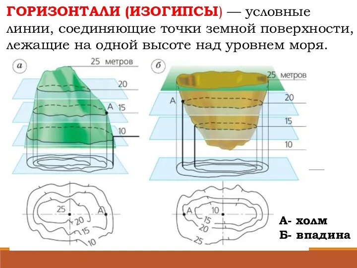 ГОРИЗОНТАЛИ (ИЗОГИПСЫ) — условные линии, соединяющие точки земной поверхности, лежащие