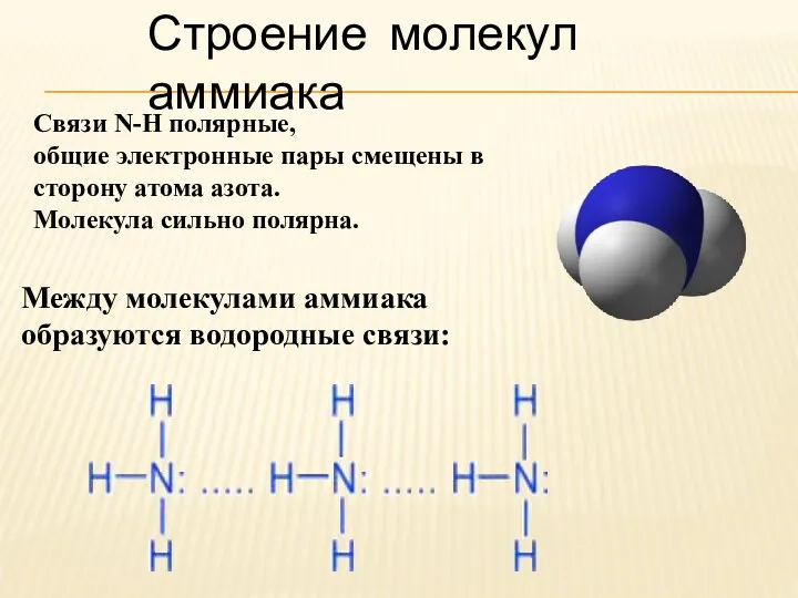 Строение молекул аммиака Между молекулами аммиака образуются водородные связи: Связи