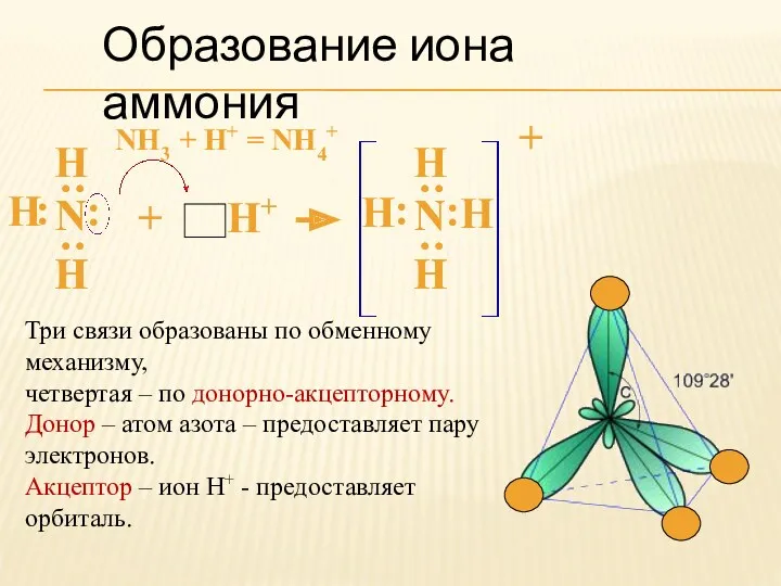 Образование иона аммония NH3 + H+ = NH4+ Н :