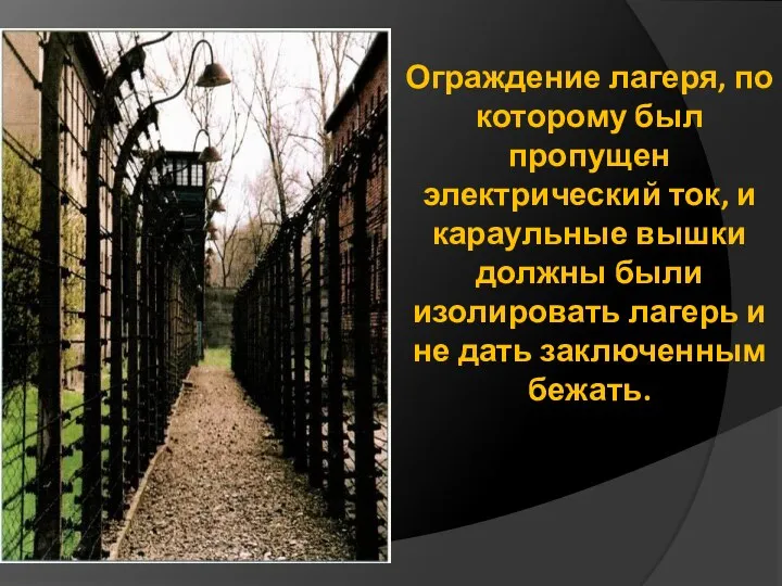 Ограждение лагеря, по которому был пропущен электрический ток, и караульные