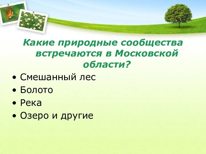 Какие природные сообщества встречаются в Московской области? Смешанный лес Болото Река Озеро и другие