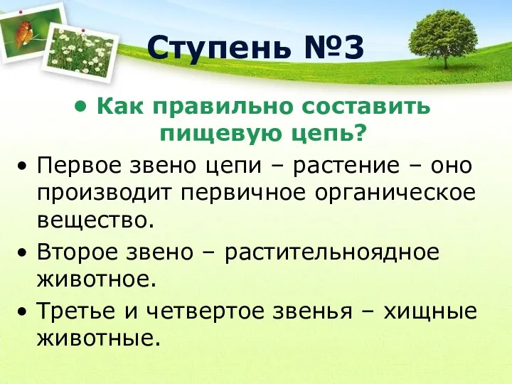 Ступень №3 Как правильно составить пищевую цепь? Первое звено цепи