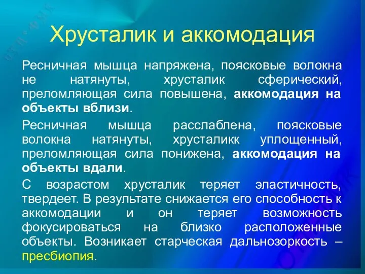 Хрусталик и аккомодация Ресничная мышца напряжена, поясковые волокна не натянуты,