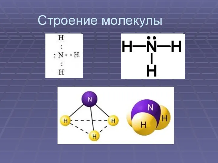 Строение молекулы