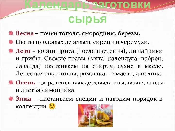 Календарь заготовки сырья Весна – почки тополя, смородины, березы. Цветы