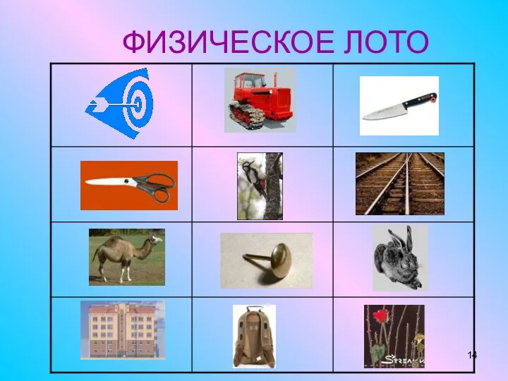 ФИЗИЧЕСКОЕ ЛОТО