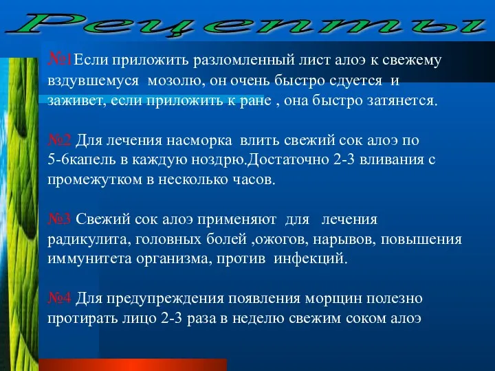 Рецепты №1Если приложить разломленный лист алоэ к свежему вздувшемуся мозолю,