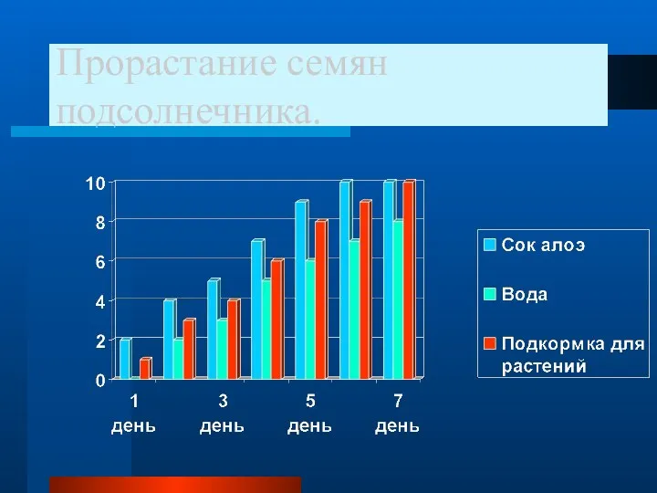 Прорастание семян подсолнечника.