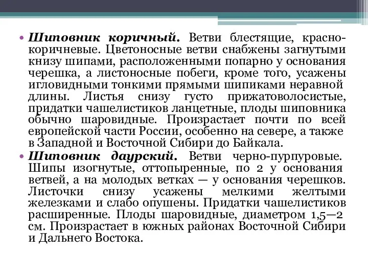 Шиповник коричный. Ветви блестящие, красно-коричневые. Цветоносные ветви снабжены загнутыми книзу