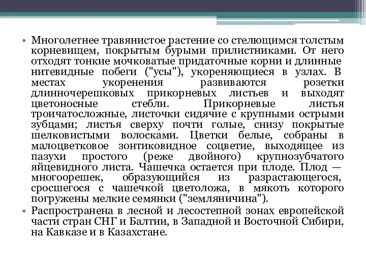 Многолетнее травянистое растение со стелющимся толстым корневищем, покрытым бурыми прилистниками.