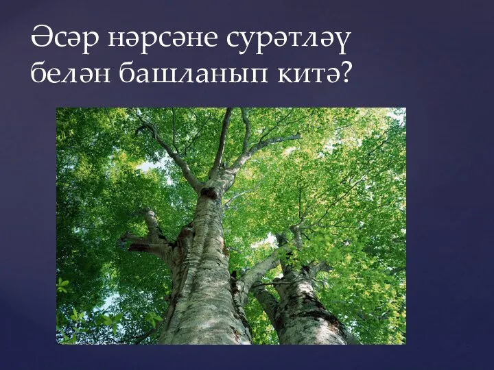 Әсәр нәрсәне сурәтләү белән башланып китә?